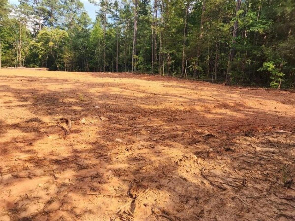 Picture of Residential Land For Sale in Ware Shoals, South Carolina, United States