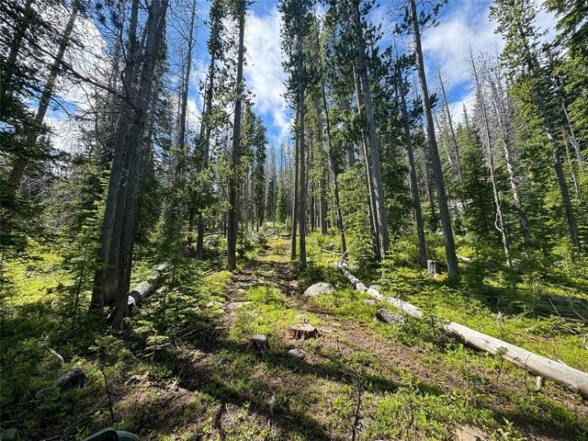 Picture of Residential Land For Sale in Basin, Montana, United States