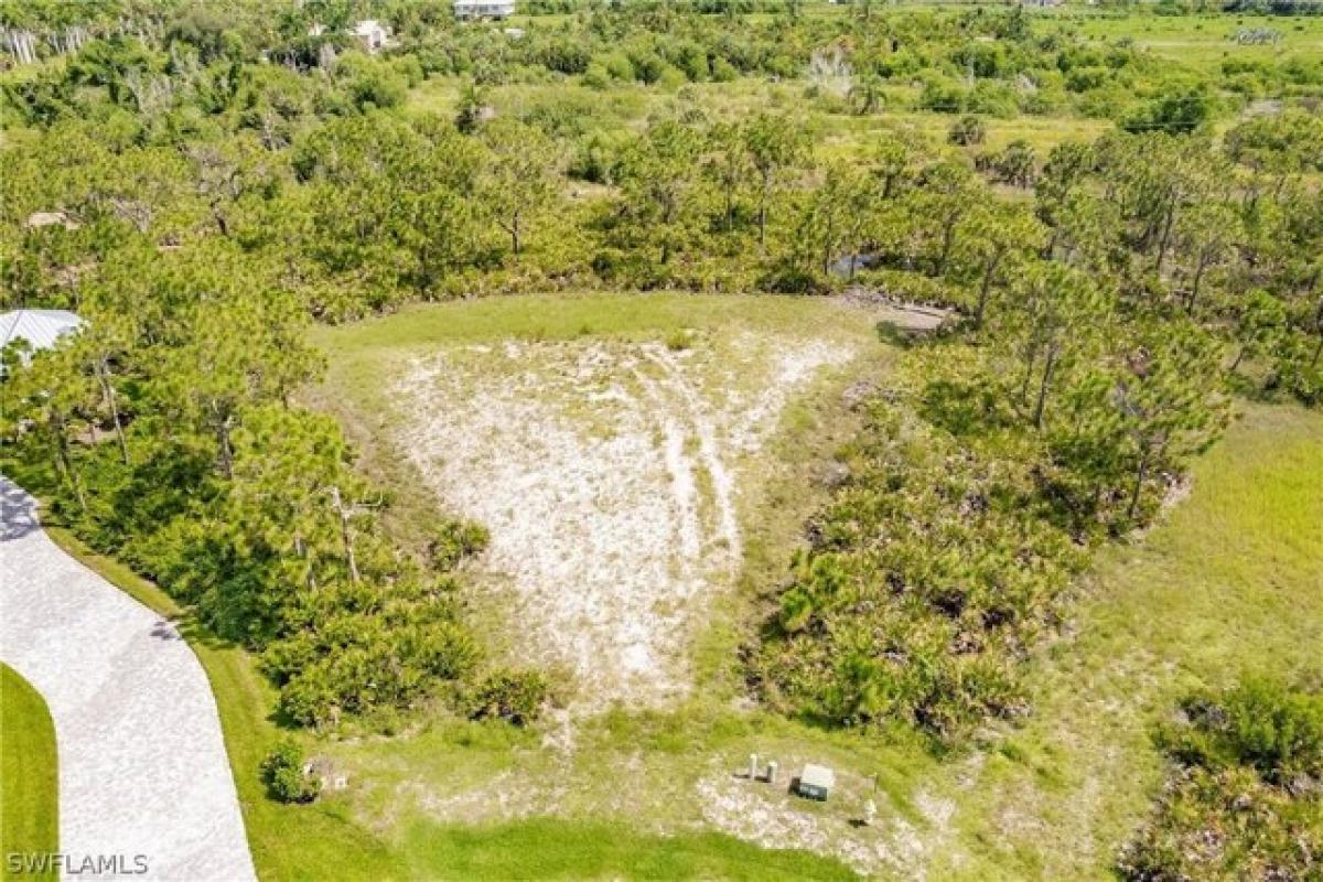 Picture of Residential Land For Sale in Bokeelia, Florida, United States