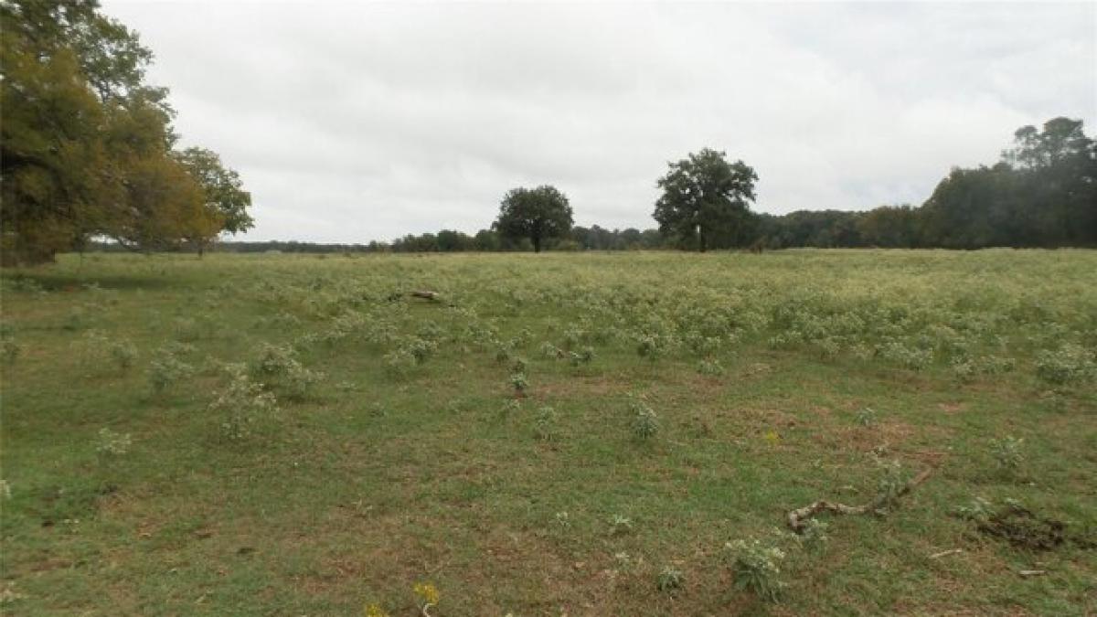 Picture of Residential Land For Sale in Kemp, Texas, United States