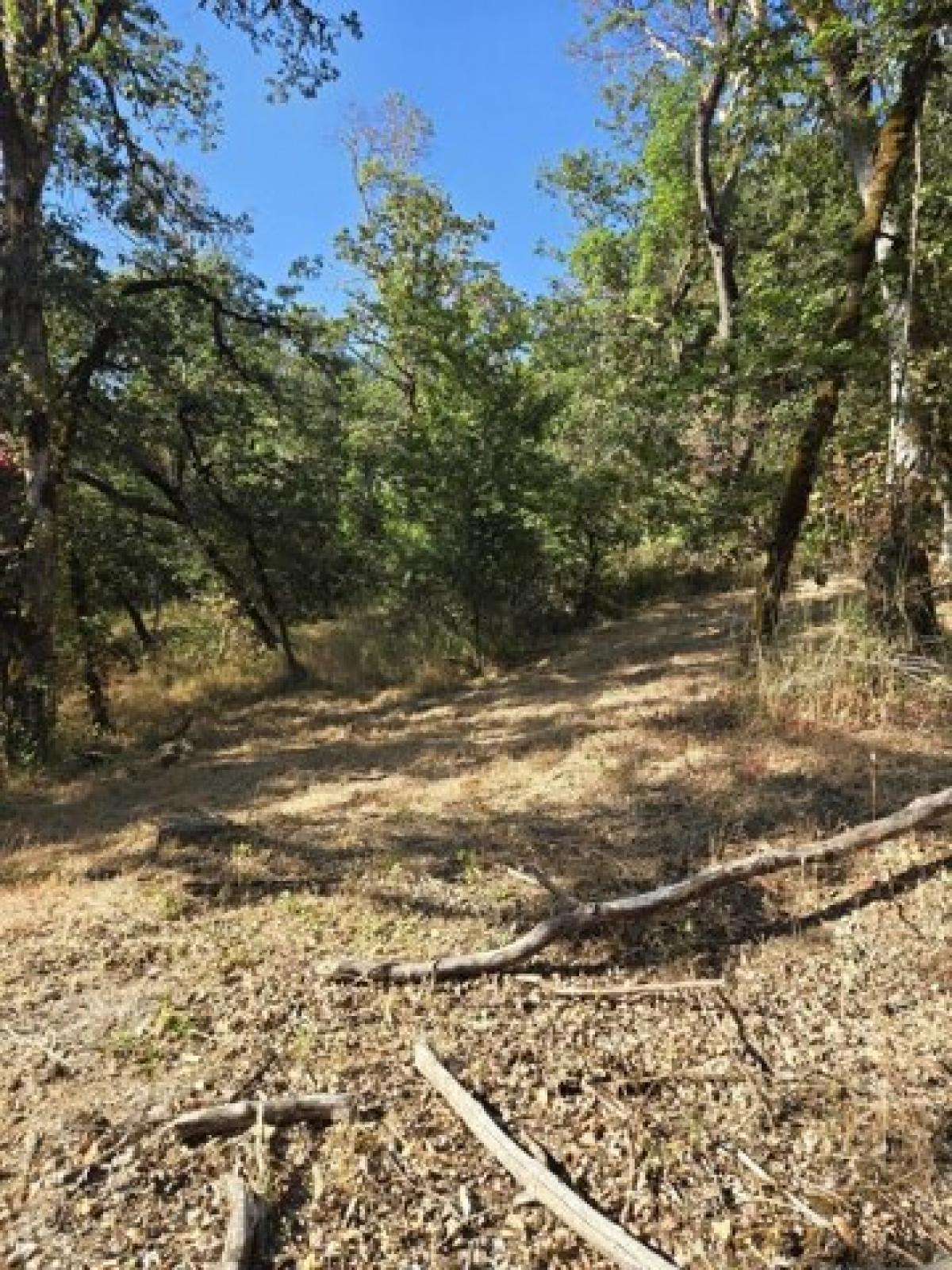 Picture of Residential Land For Sale in Canyonville, Oregon, United States