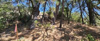 Residential Land For Sale in Running Springs, California