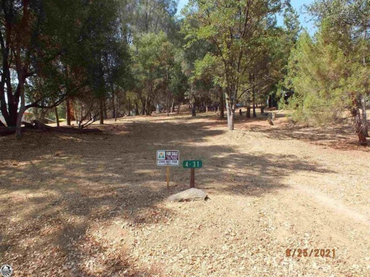 Picture of Residential Land For Sale in Groveland, California, United States