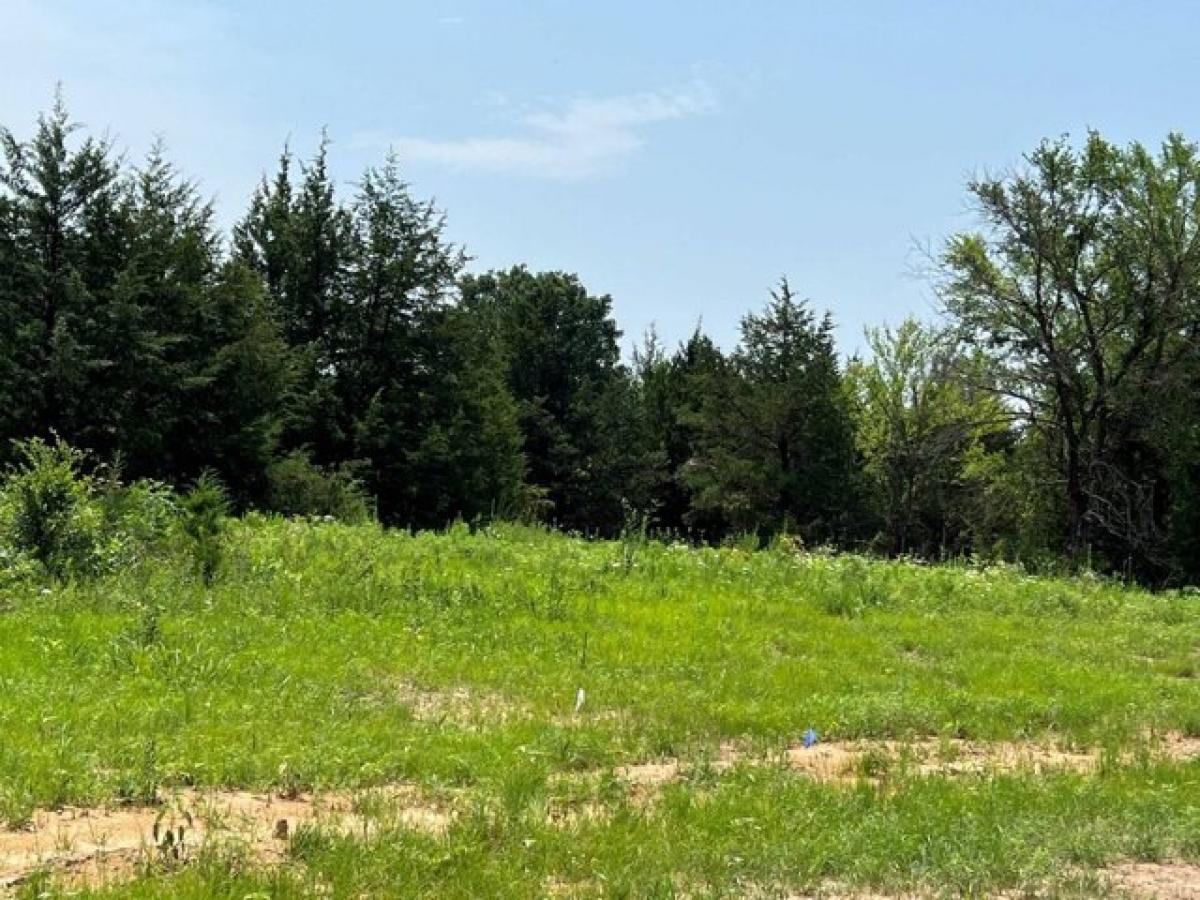 Picture of Residential Land For Sale in Colbert, Oklahoma, United States