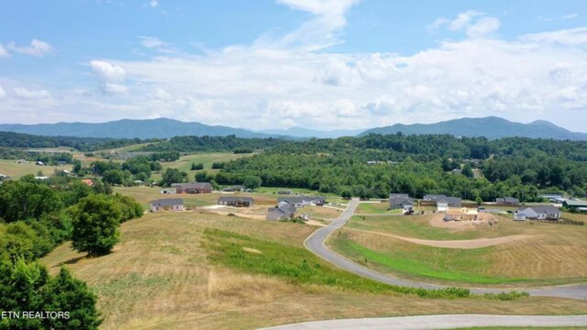 Picture of Residential Land For Sale in Parrottsville, Tennessee, United States