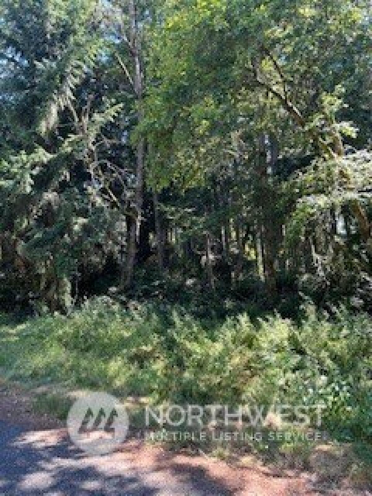 Picture of Residential Land For Sale in Anderson Island, Washington, United States