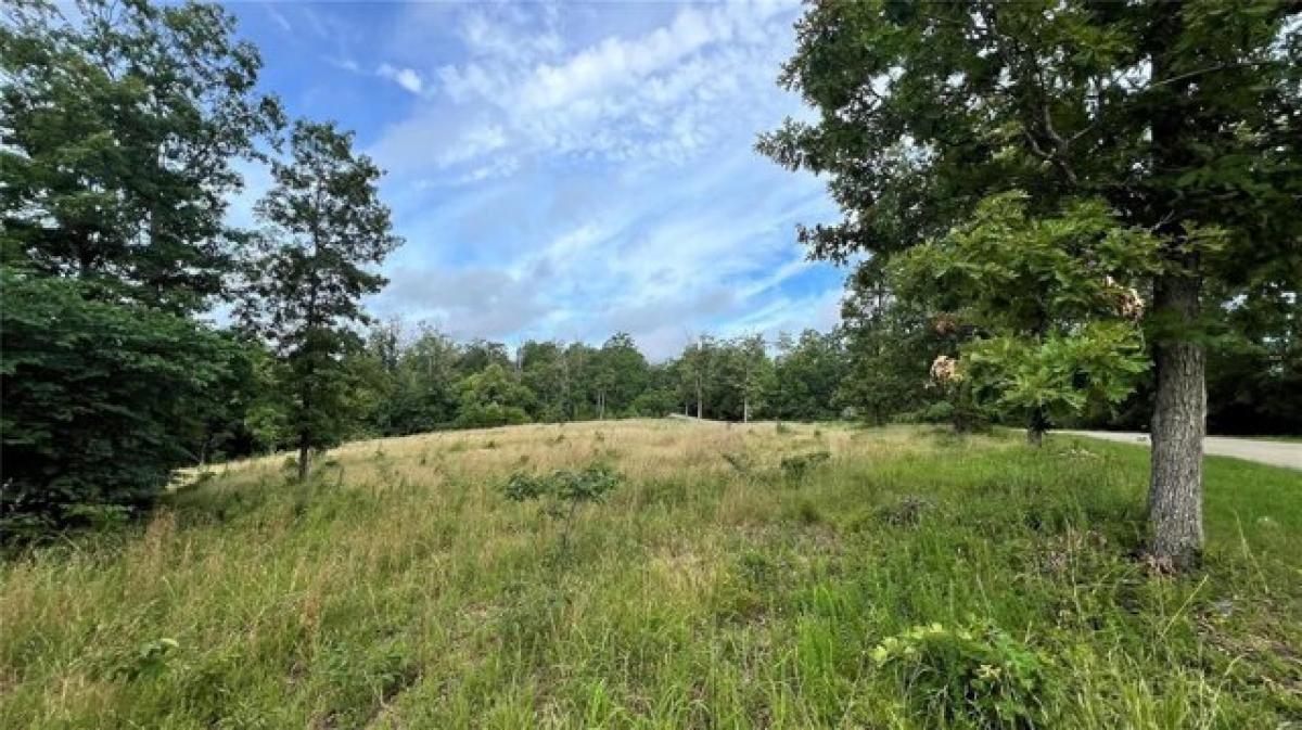 Picture of Residential Land For Sale in Fredericktown, Missouri, United States