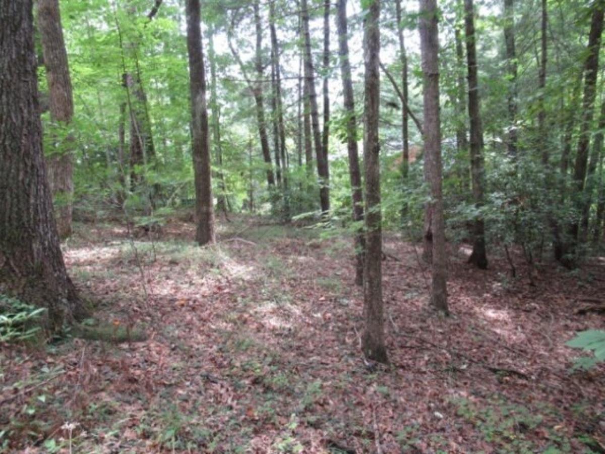 Picture of Residential Land For Sale in Pickens, South Carolina, United States