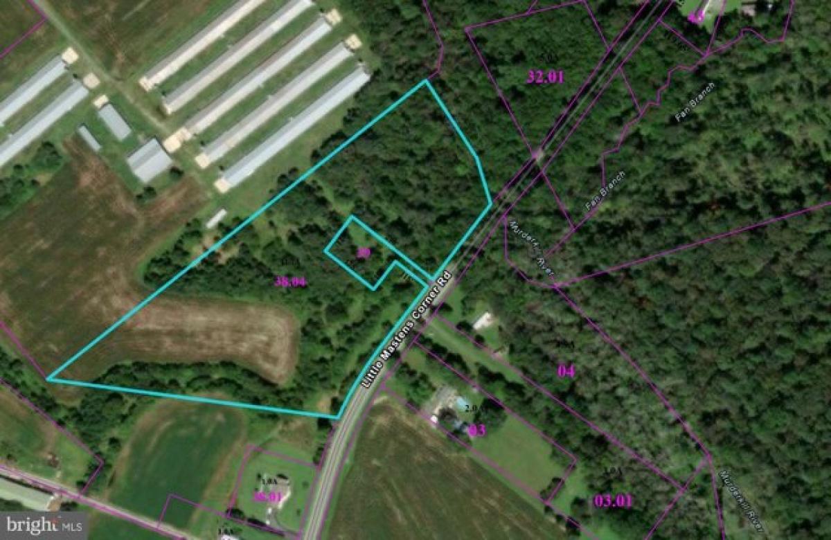 Picture of Residential Land For Sale in Felton, Delaware, United States