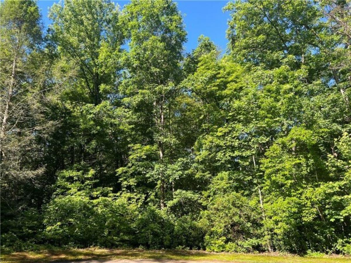 Picture of Residential Land For Sale in Pickens, South Carolina, United States