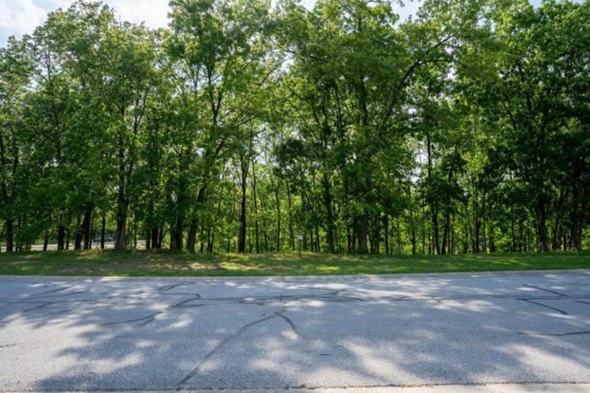 Picture of Residential Land For Sale in Crown Point, Indiana, United States