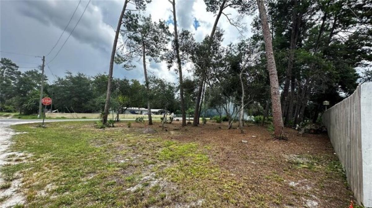 Picture of Residential Land For Sale in Paisley, Florida, United States