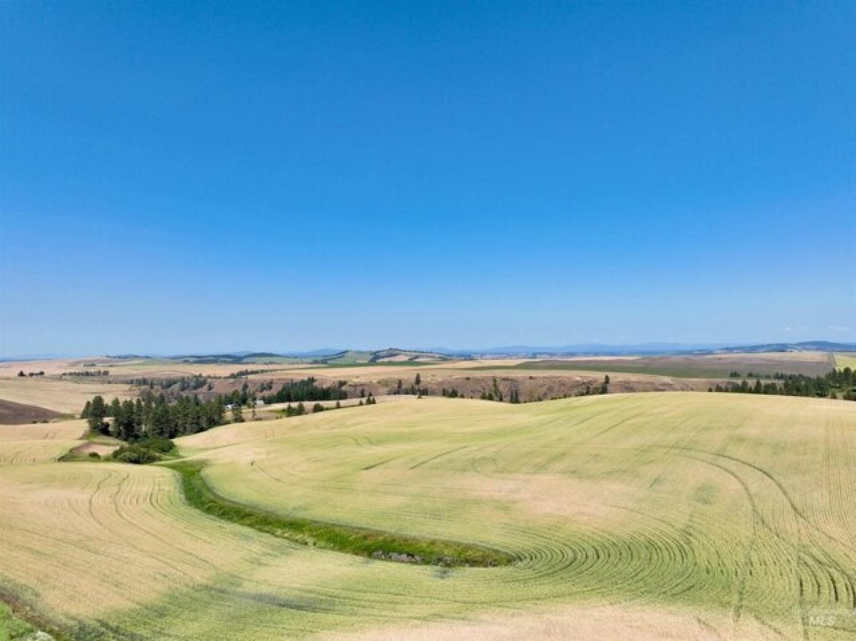 Picture of Residential Land For Sale in Craigmont, Idaho, United States