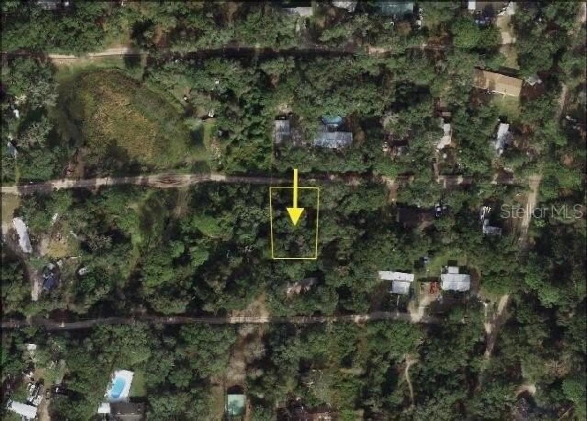 Picture of Residential Land For Sale in Umatilla, Florida, United States