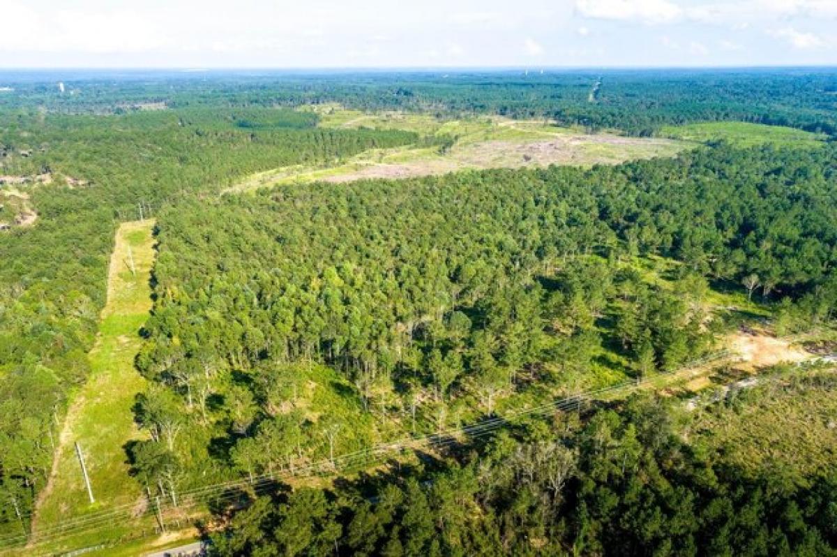 Picture of Residential Land For Sale in Petal, Mississippi, United States