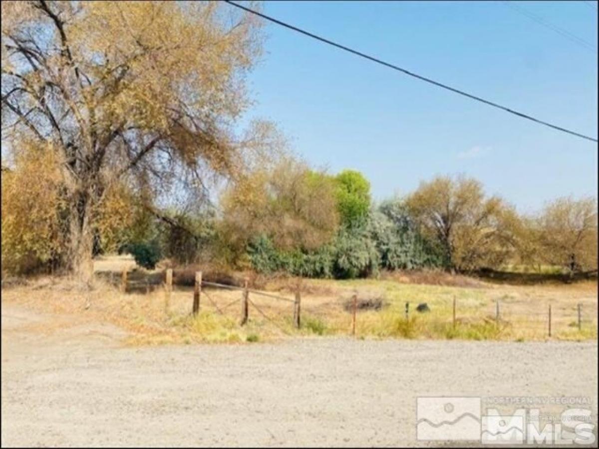 Picture of Residential Land For Sale in Fallon, Nevada, United States