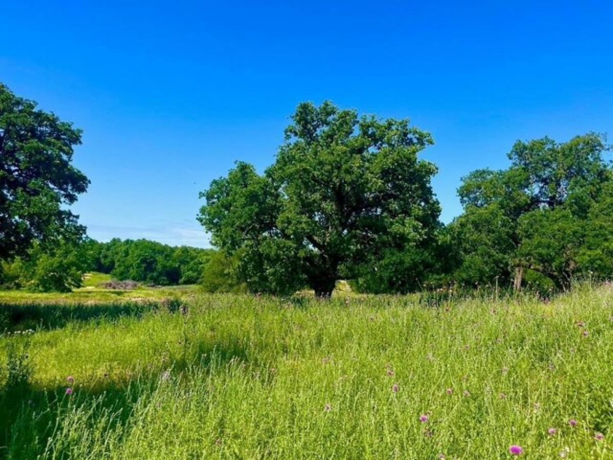 Picture of Residential Land For Sale in Poolville, Texas, United States