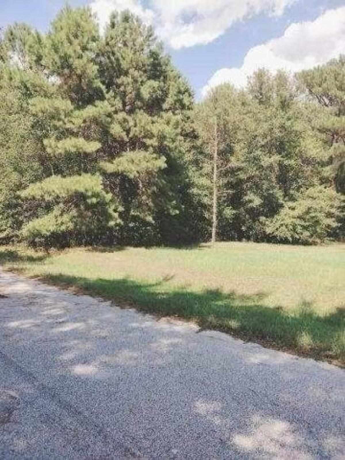 Picture of Residential Land For Sale in Sumter, South Carolina, United States