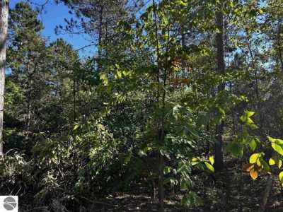 Residential Land For Sale in Mesick, Michigan