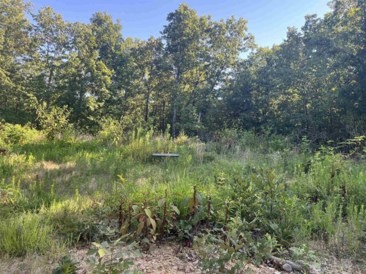 Picture of Residential Land For Sale in Hardy, Arkansas, United States