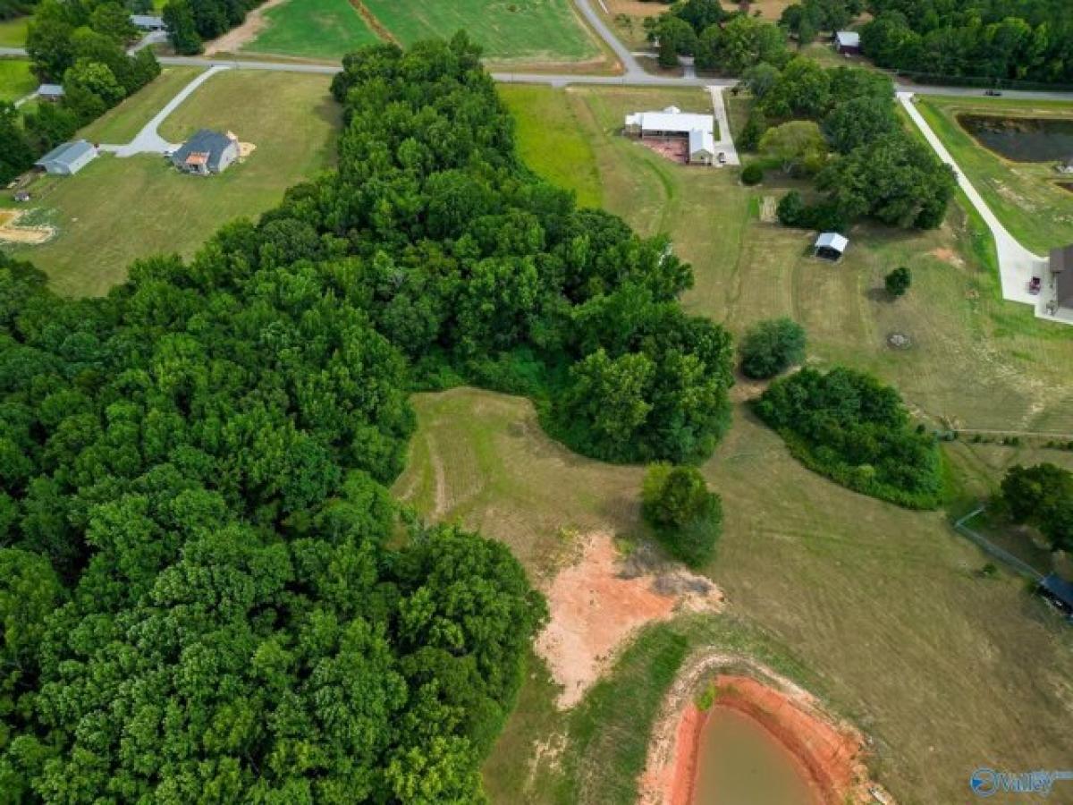 Picture of Residential Land For Sale in Hartselle, Alabama, United States