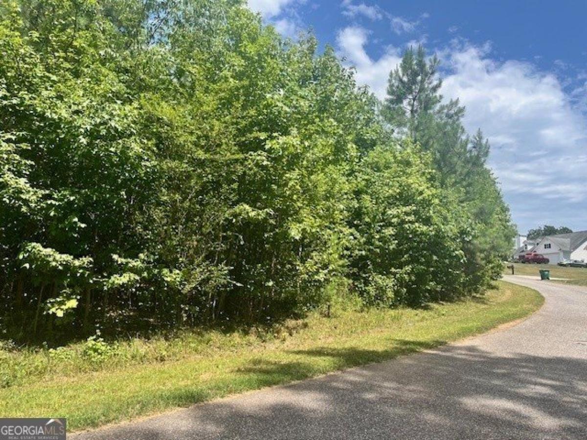 Picture of Residential Land For Sale in Alto, Georgia, United States