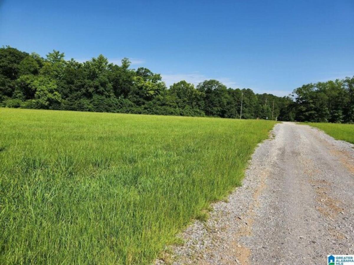 Picture of Residential Land For Sale in Montevallo, Alabama, United States