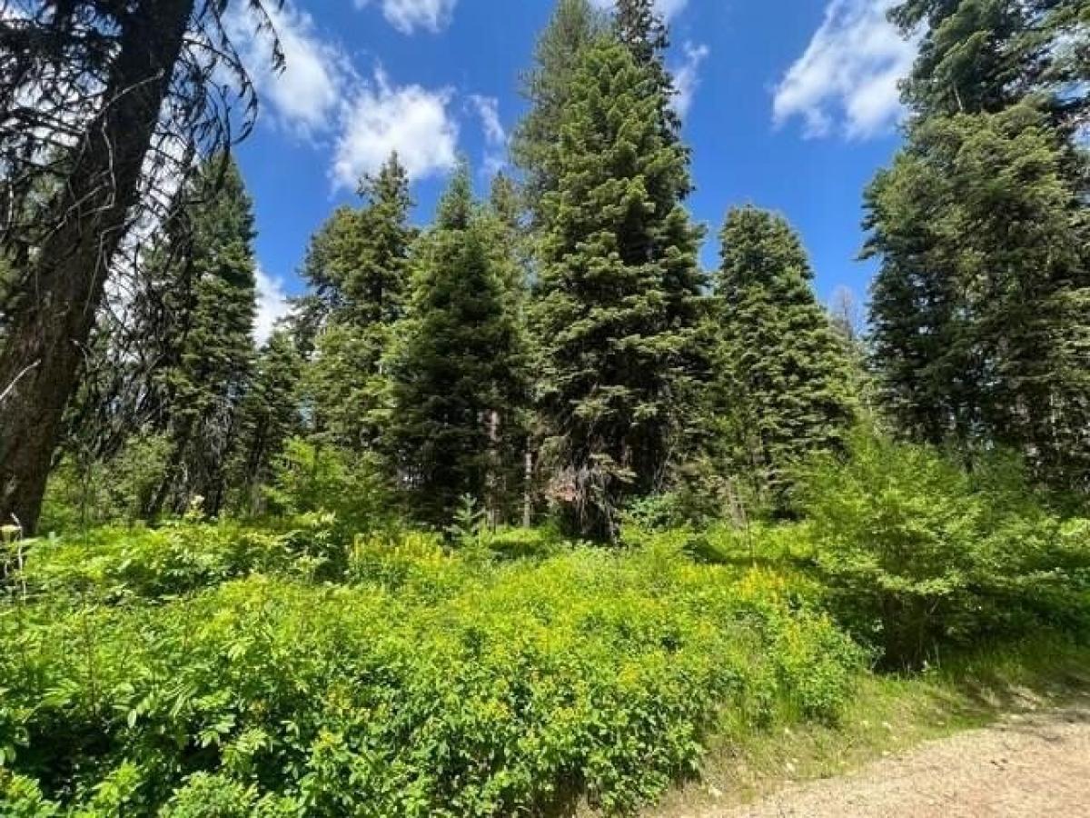 Picture of Residential Land For Sale in Donnelly, Idaho, United States