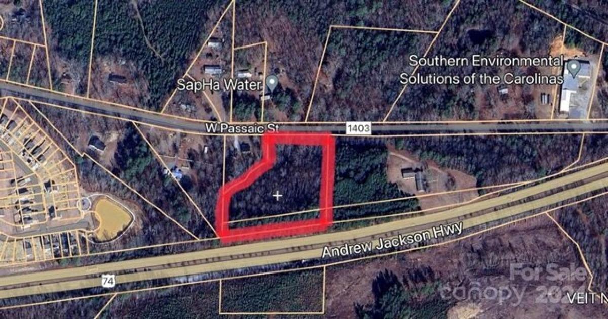 Picture of Residential Land For Sale in Peachland, North Carolina, United States