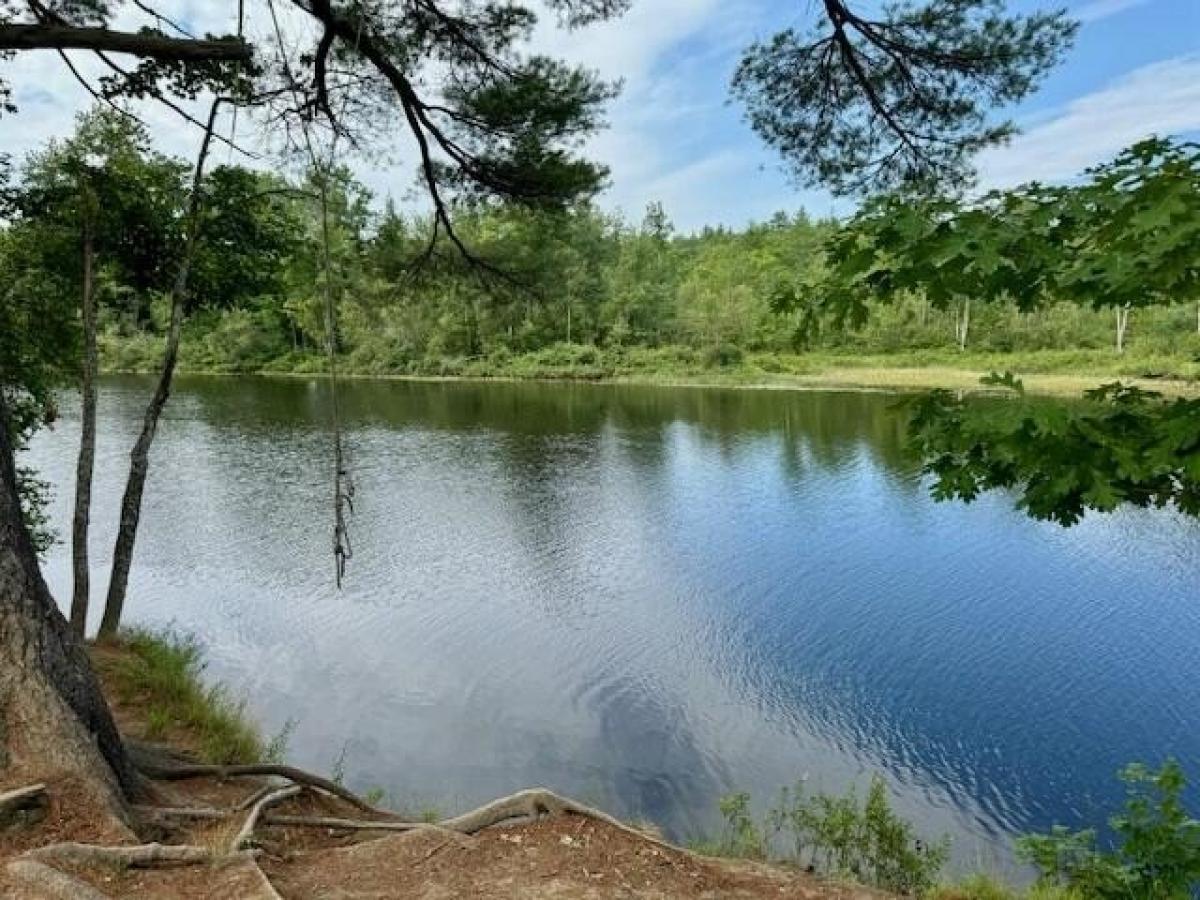 Picture of Residential Land For Sale in Porter, Maine, United States