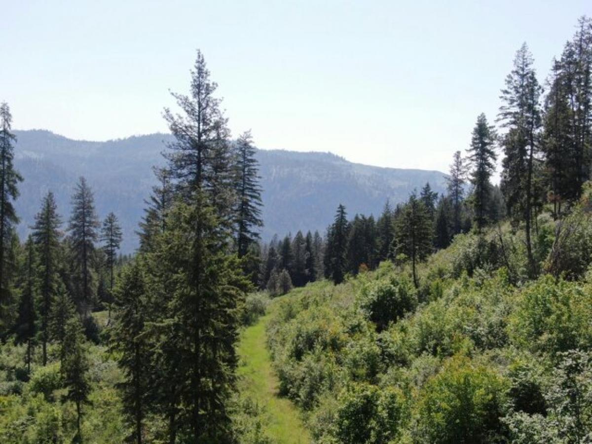 Picture of Residential Land For Sale in Kettle Falls, Washington, United States