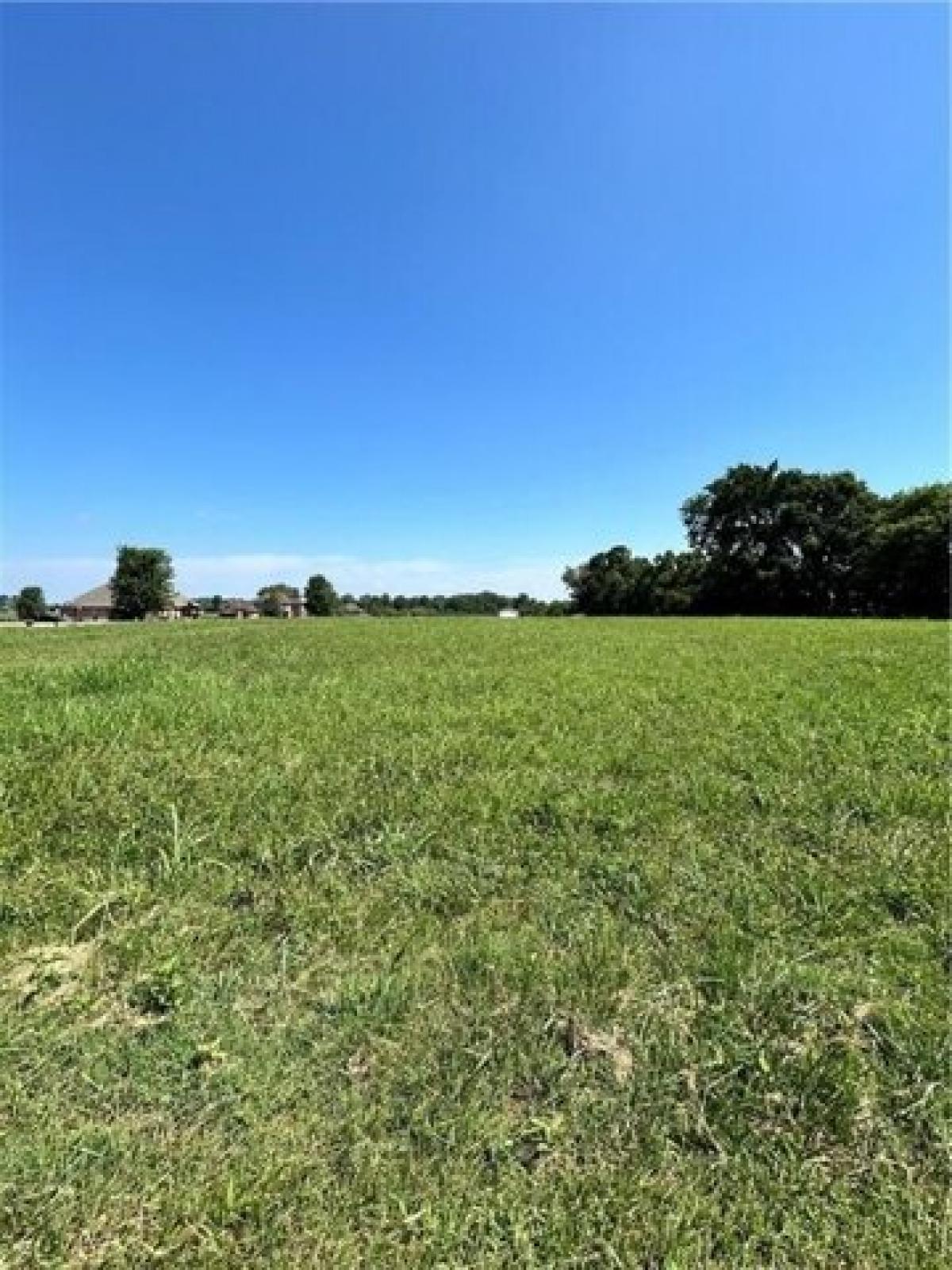 Picture of Residential Land For Sale in Pea Ridge, Arkansas, United States