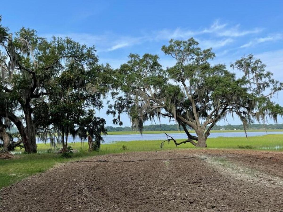 Picture of Residential Land For Sale in Seabrook, South Carolina, United States