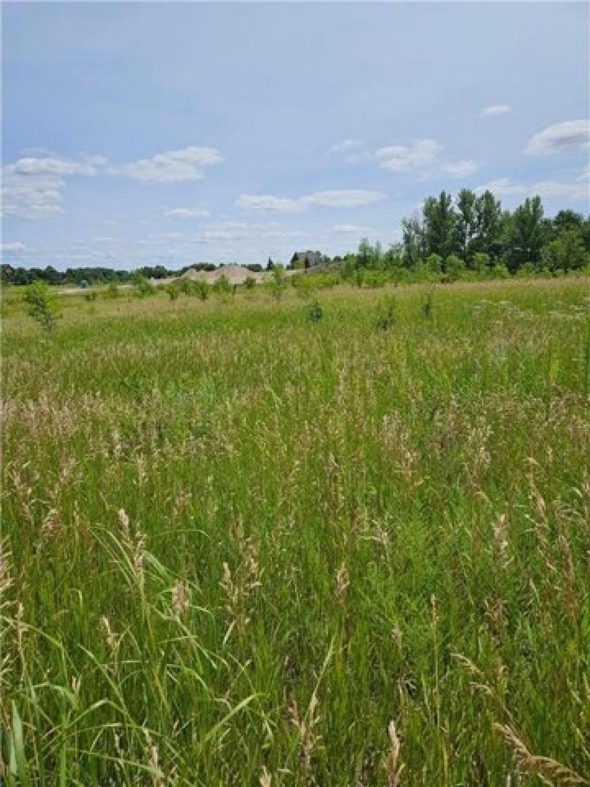 Picture of Residential Land For Sale in Alexandria, Minnesota, United States