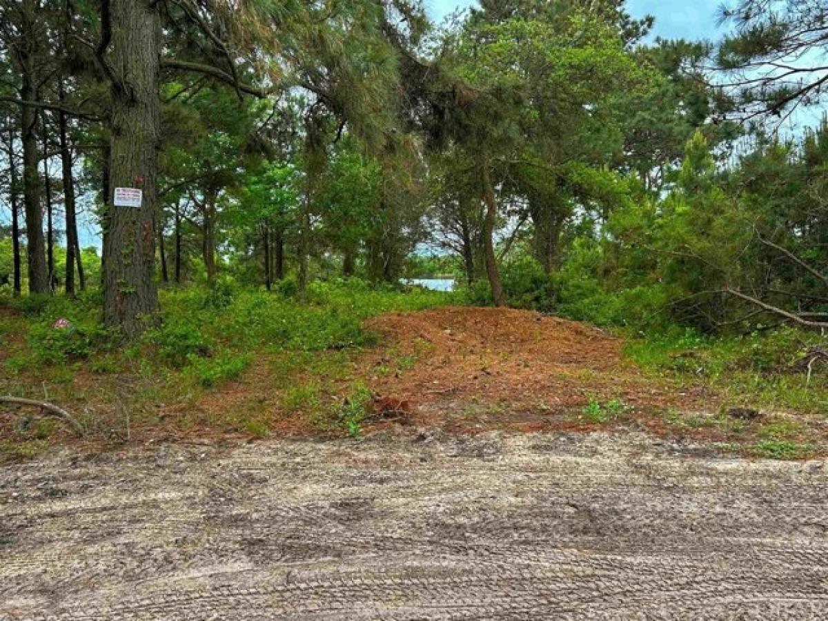 Picture of Residential Land For Sale in Corolla, North Carolina, United States