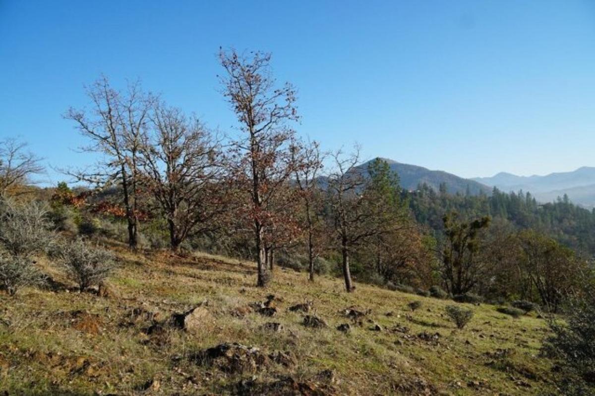 Picture of Residential Land For Sale in Rogue River, Oregon, United States