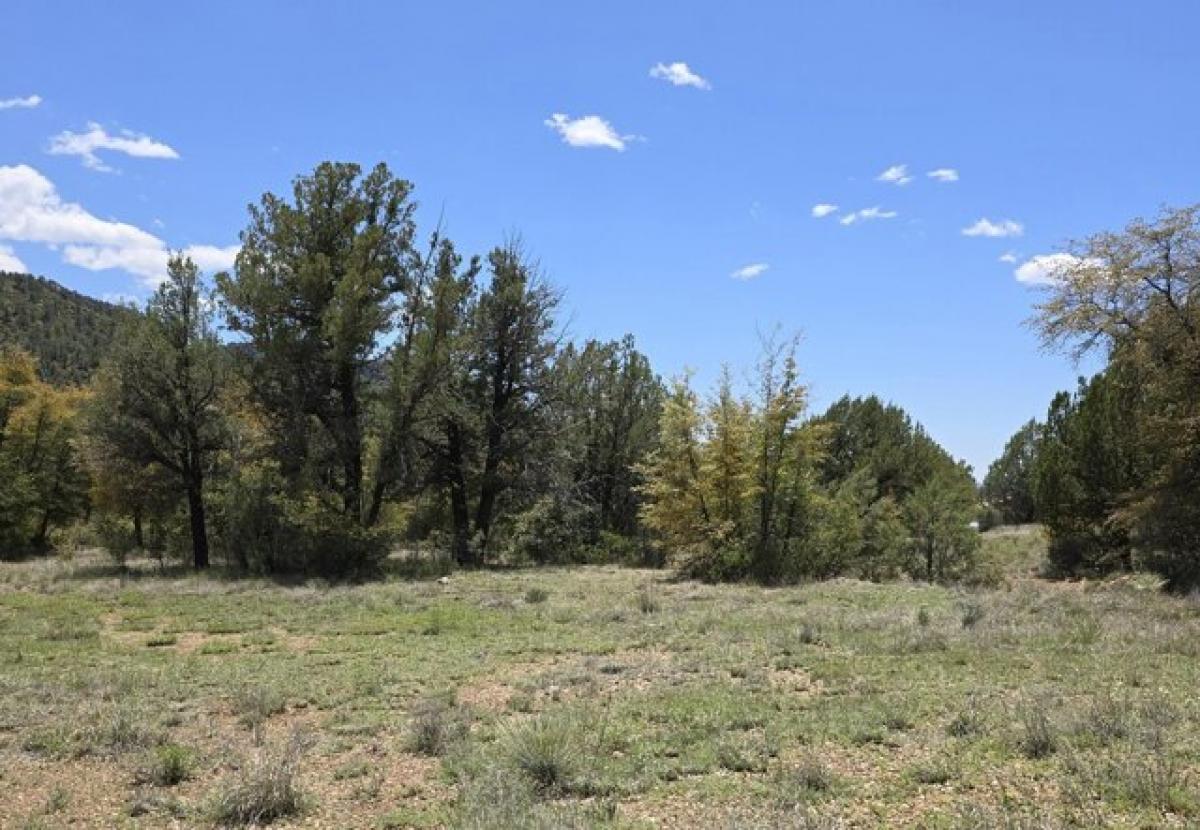 Picture of Residential Land For Sale in Young, Arizona, United States