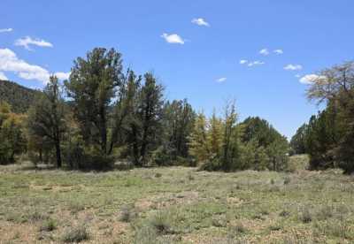 Residential Land For Sale in Young, Arizona