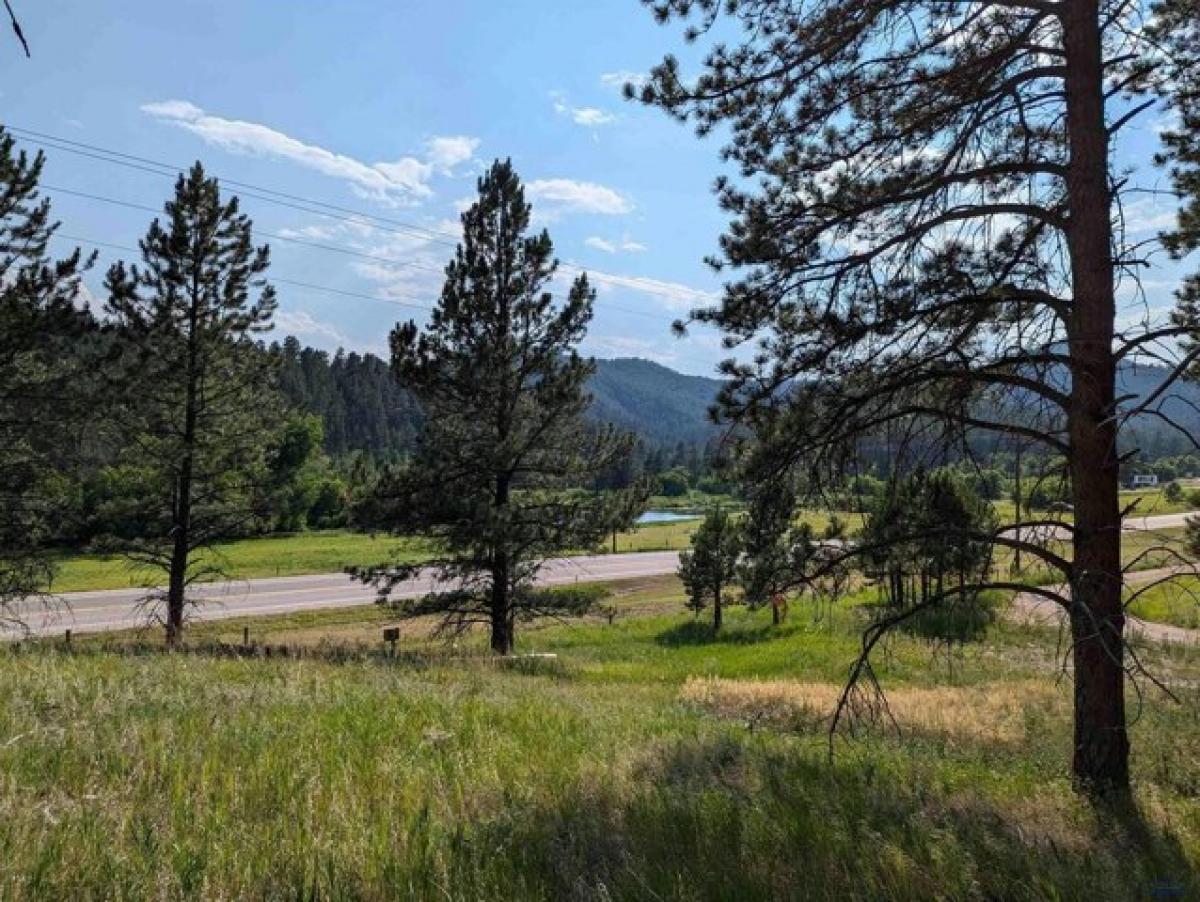 Picture of Residential Land For Sale in Rapid City, South Dakota, United States