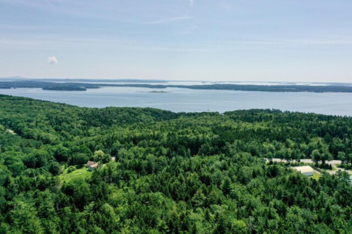 Picture of Residential Land For Sale in Northport, Maine, United States