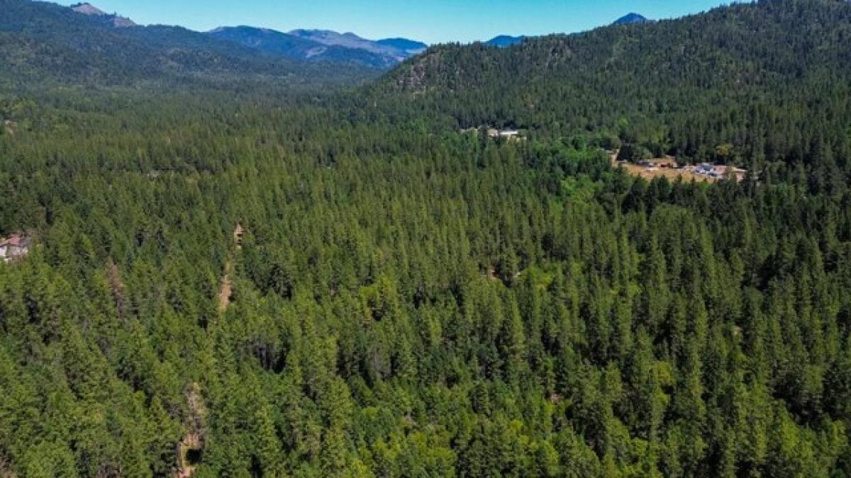 Picture of Residential Land For Sale in Rogue River, Oregon, United States