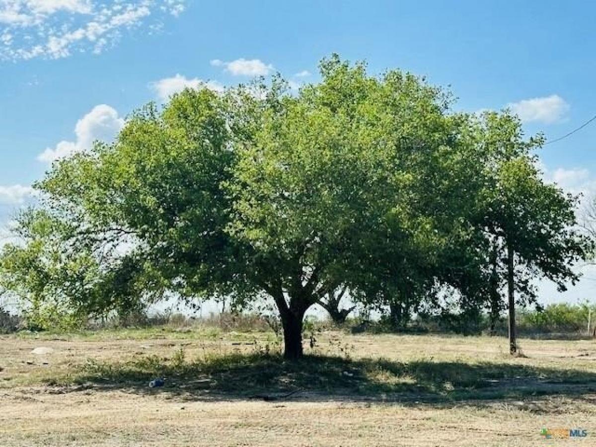 Picture of Residential Land For Sale in Floresville, Texas, United States