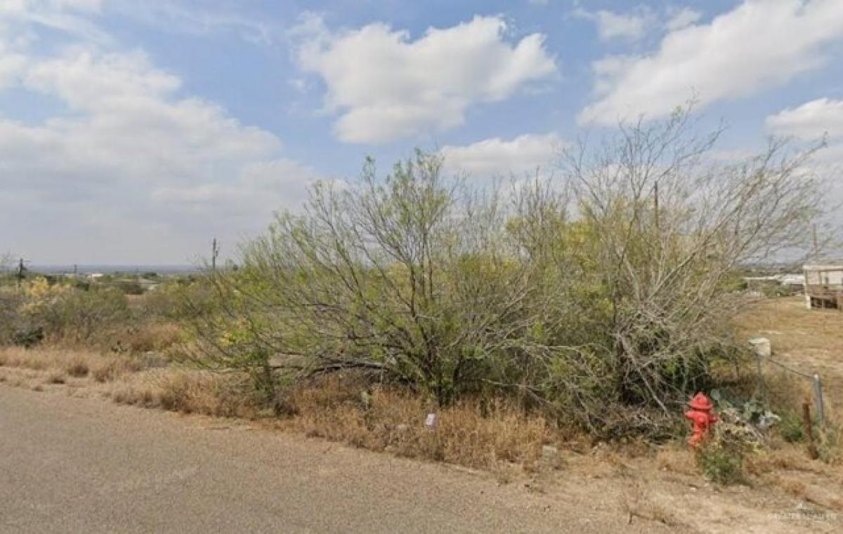 Picture of Residential Land For Sale in Zapata, Texas, United States