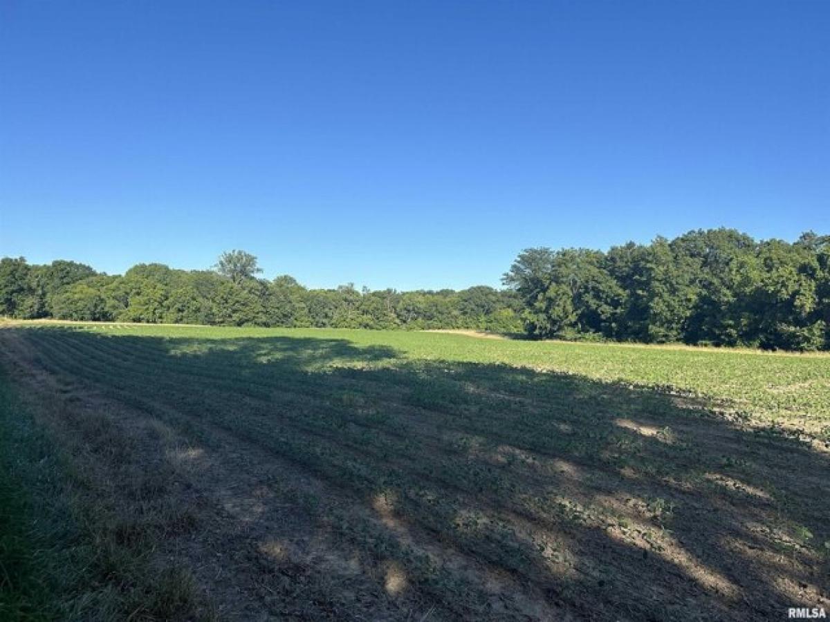 Picture of Home For Sale in Watson, Illinois, United States