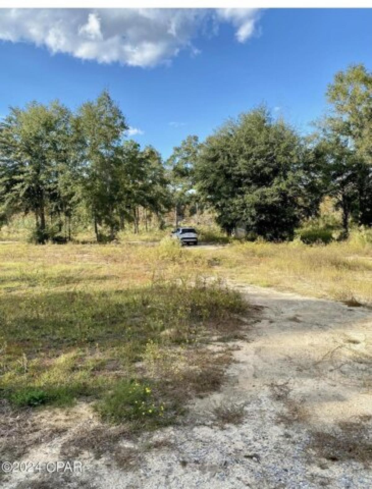 Picture of Residential Land For Sale in Bonifay, Florida, United States