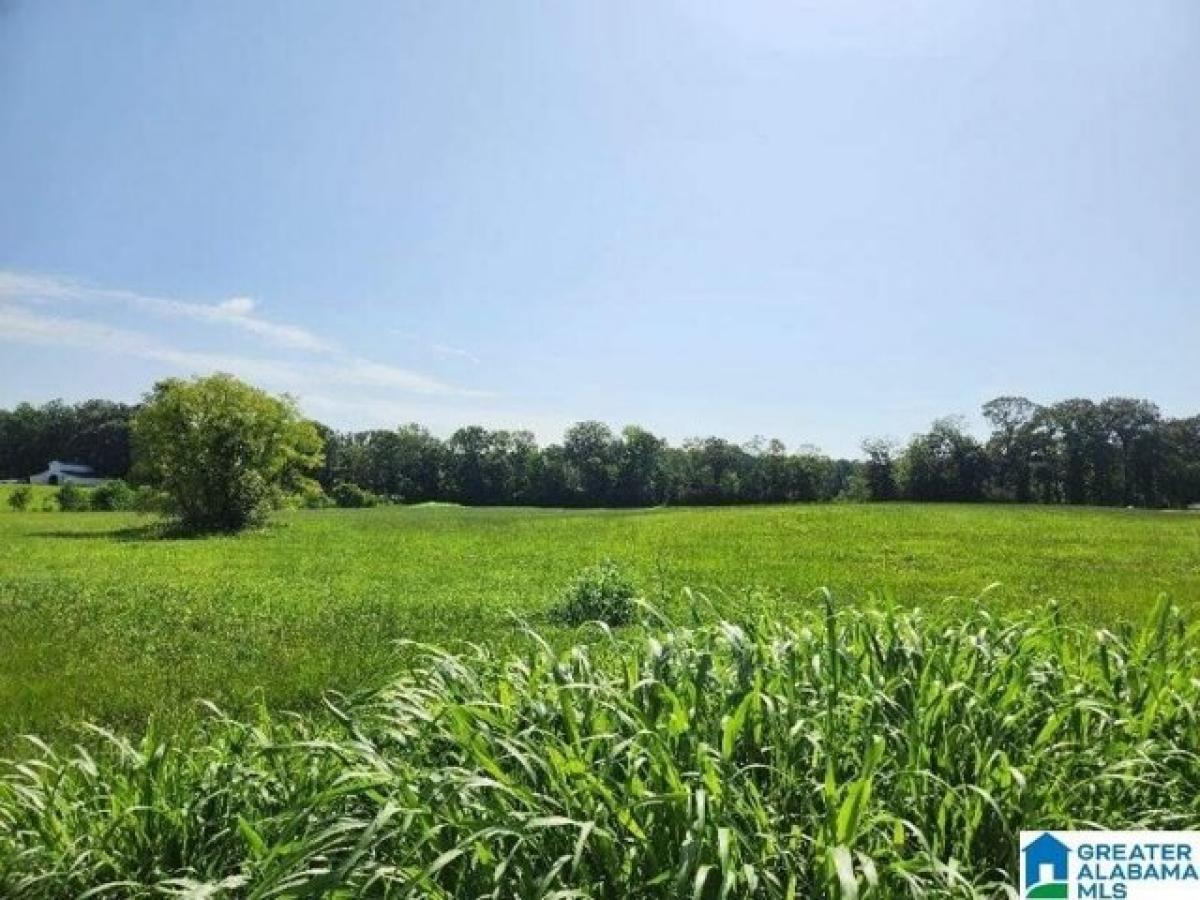 Picture of Residential Land For Sale in Montevallo, Alabama, United States