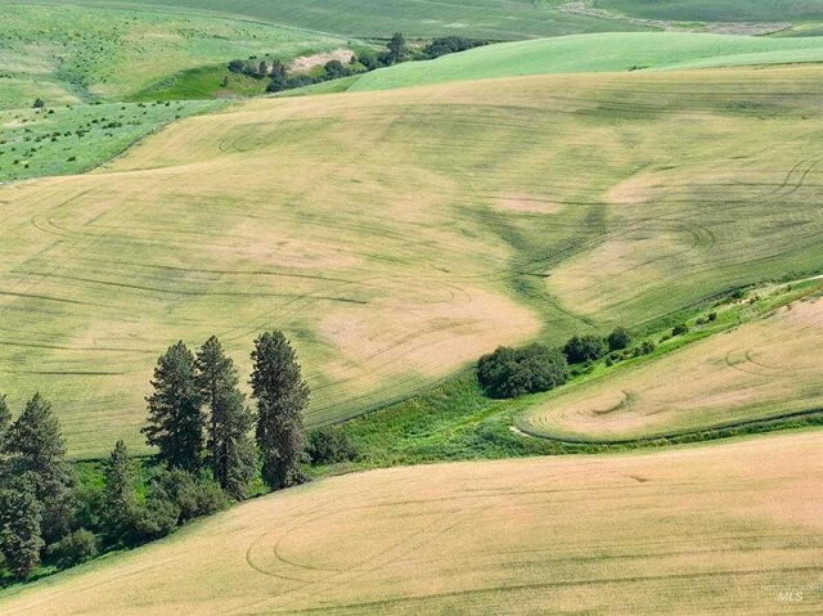 Picture of Residential Land For Sale in Craigmont, Idaho, United States