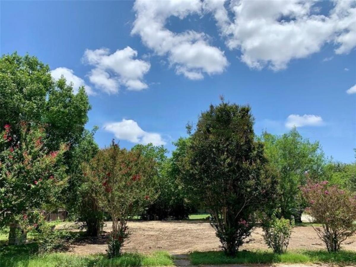 Picture of Residential Land For Sale in Lockhart, Texas, United States