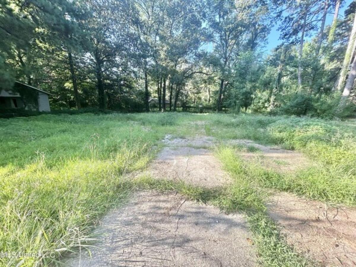 Picture of Residential Land For Sale in Jackson, Mississippi, United States