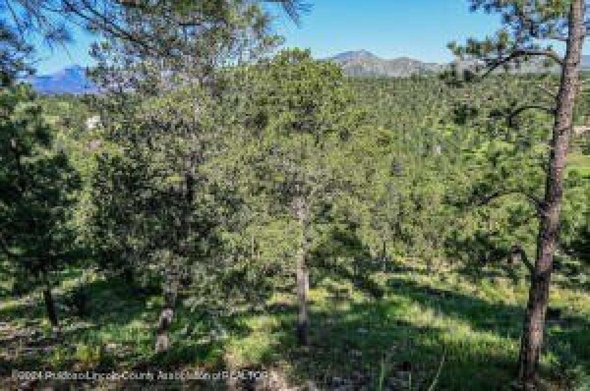 Picture of Residential Land For Sale in Alto, New Mexico, United States